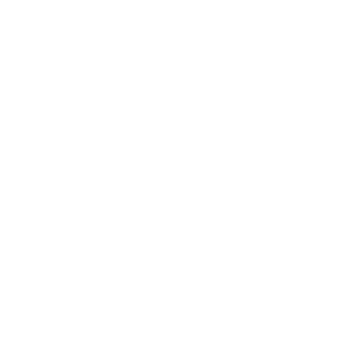 DS